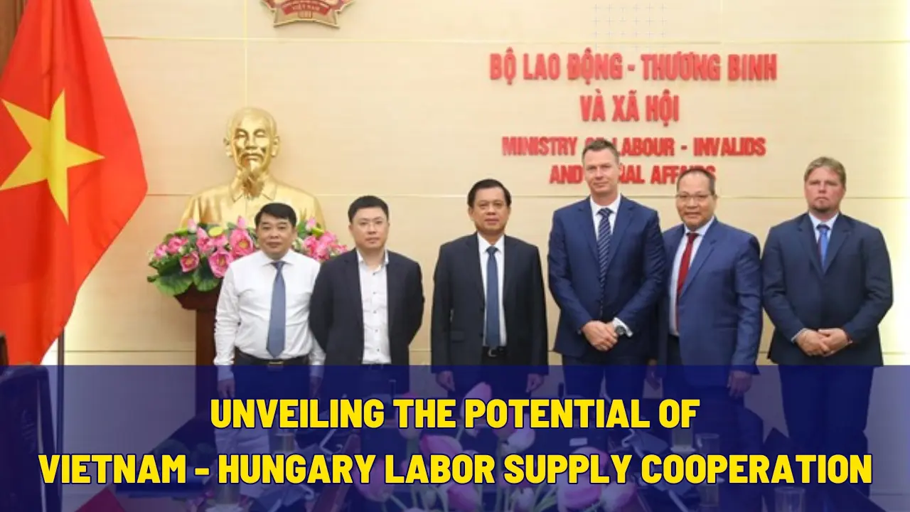 Unveiling the Potential of Vietnam and Hungary Labor Supply Cooperation