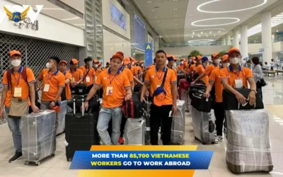 85.700+ Vietnamese Workers Go to Work Abroad: 2025 Data, Top Markets, Sectors & Hiring Guide