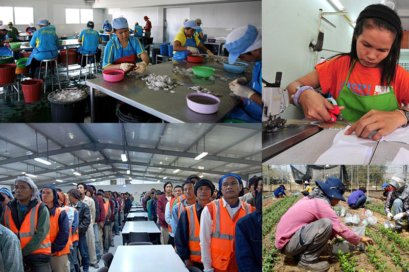 Top 10 Best Countries for Manpower Recruitment in Asia 2026: The Definitive Global Guide 8 image 3